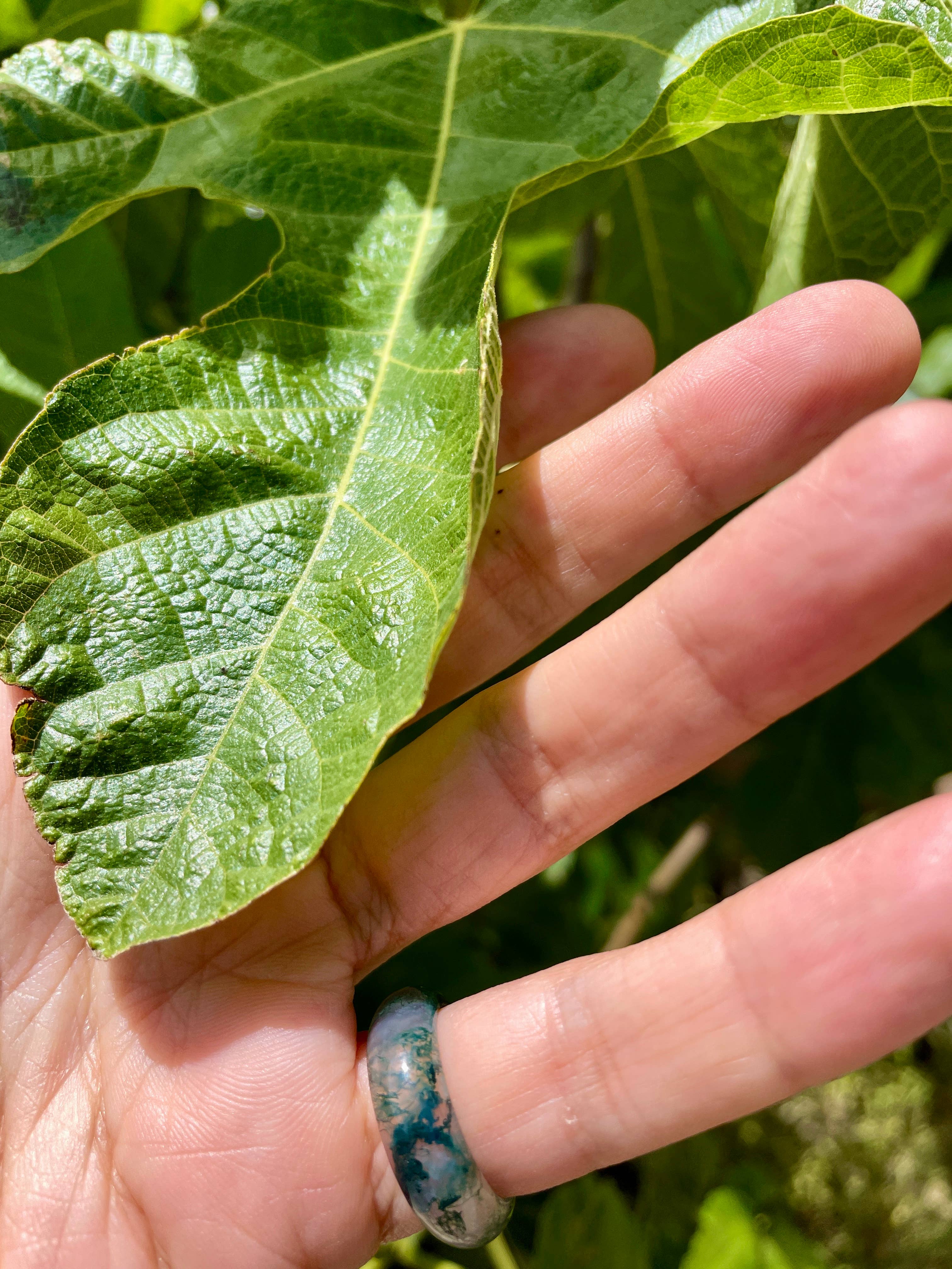 Whitestone Jewelry Co. - Wholesale Band/Stacked Ring - Carmela - Moss Agate | Maya Stone Collection | Natural Stone Band | Stackable Ring6