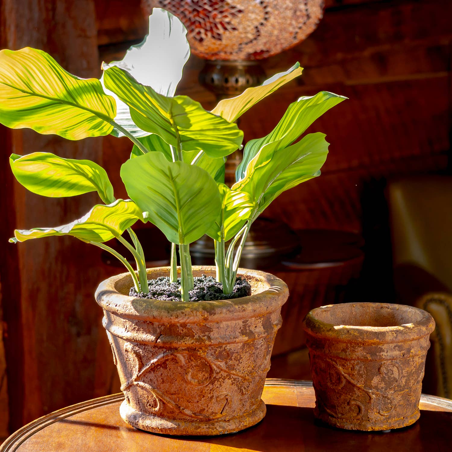 Zaer Ltd. International - Wholesale Plant Pot - 2 Assorted Tuscan Style Round Ceramic Flower Pots13