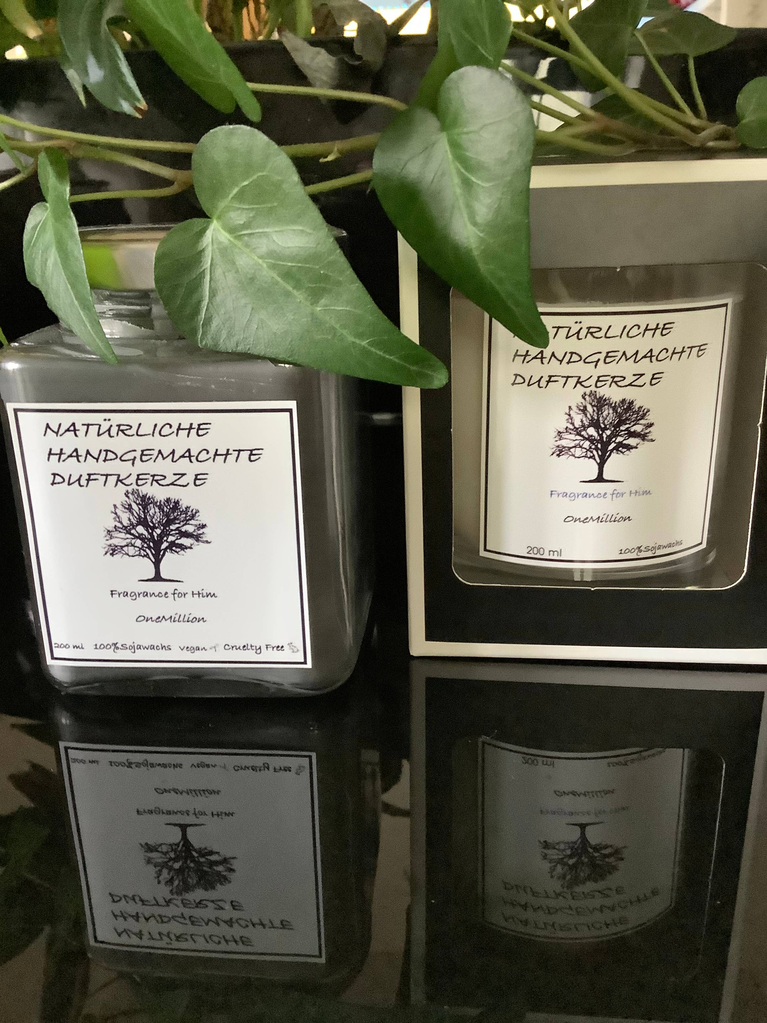 Cerei - Wholesale Jar/Filled Candle - Onemillion for him1