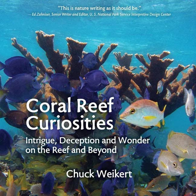 Books by splitShops - Wholesale Science & Math - Coral Reef Curiosities: Intrigue, Deception and Wonder on the Reef and Beyond - Paperback0