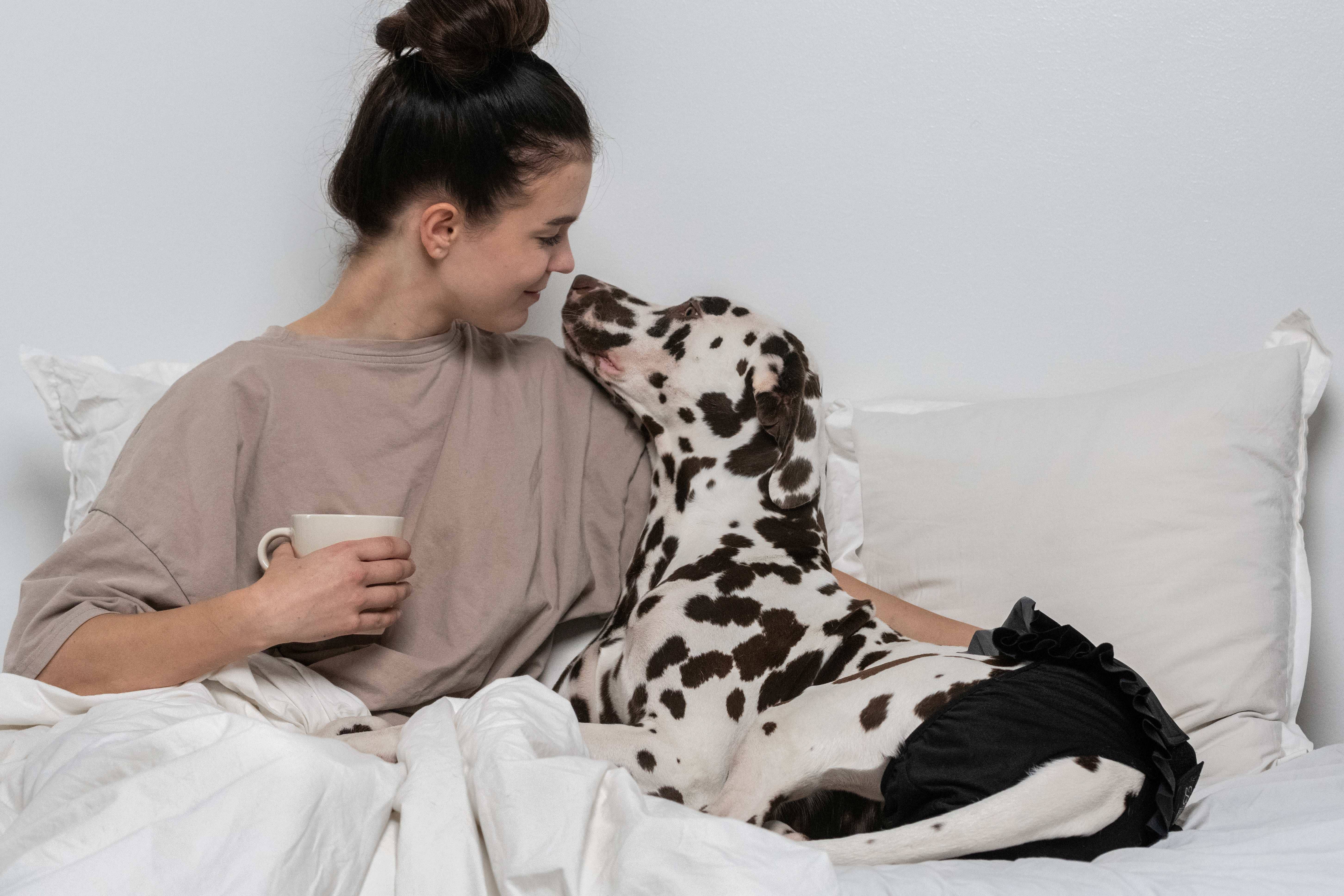 FINNERO – wholesale Husdjursblöja - Hund – FINNERO Ballerina hundhygienbyxor, 5 färger, tvättbara30