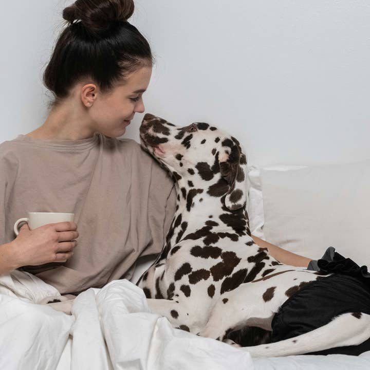 FINNERO – Engroshandel Bleer til kæledyr - Hund – FINNERO ballerina hundehygiejnebukser, 5 farver, vaskbare30