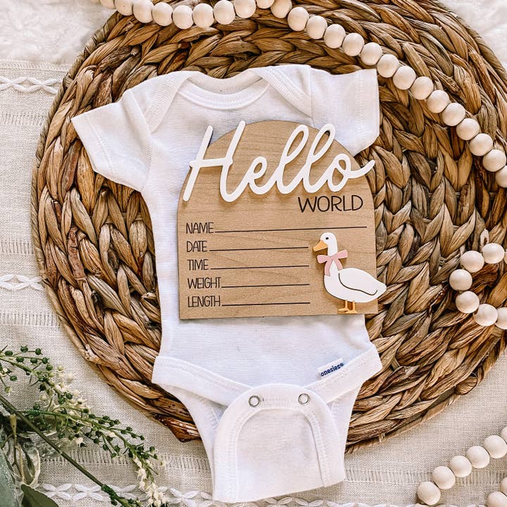 Claire and Bella - Wholesale Milestone Art/Keepsake - Kids & Baby - Hello World Birth Stat Sign - Goose with Bow1