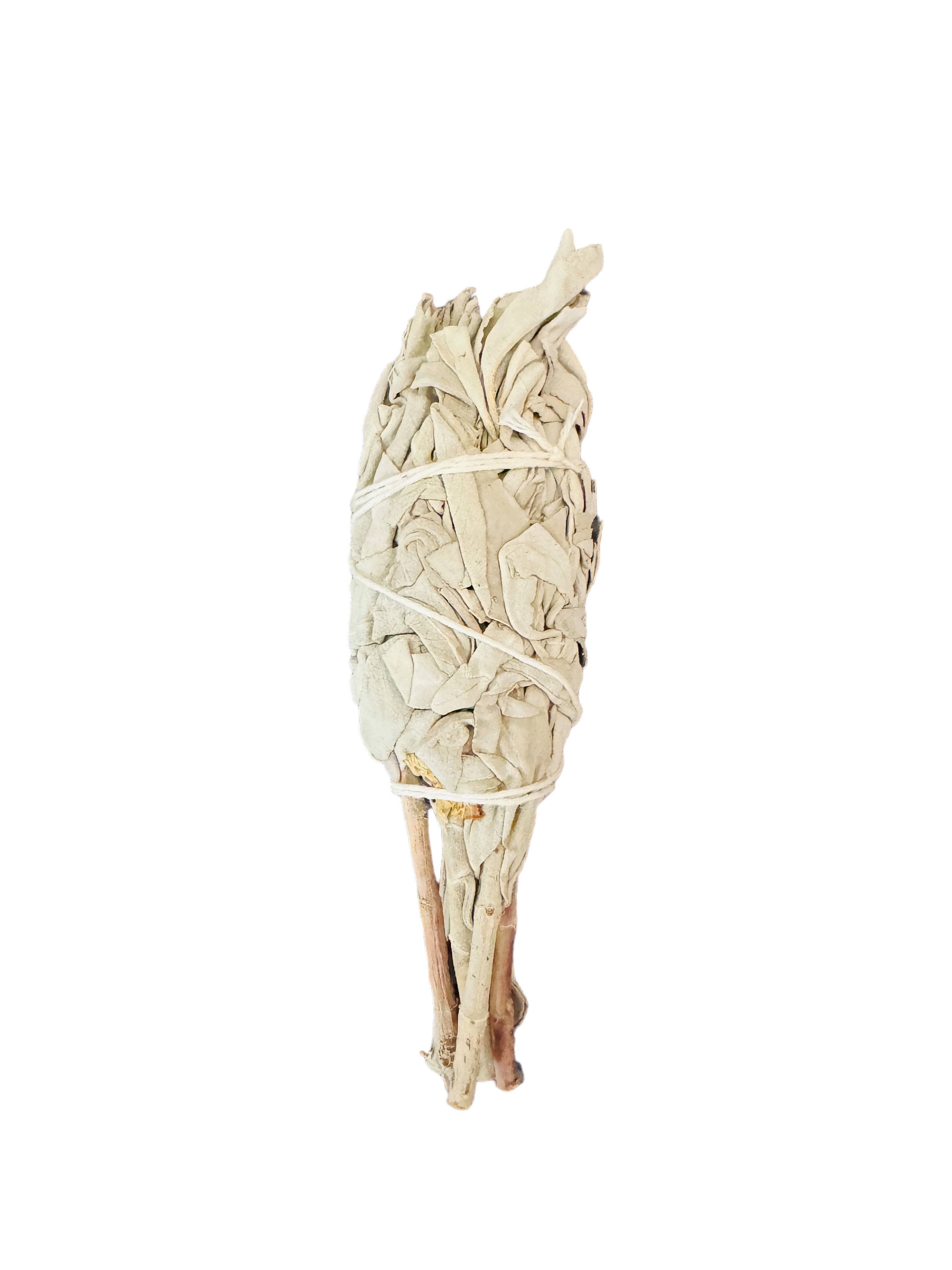 Bholi Sage Plus - Wholesale Sage Bundle - White Sage Torch0