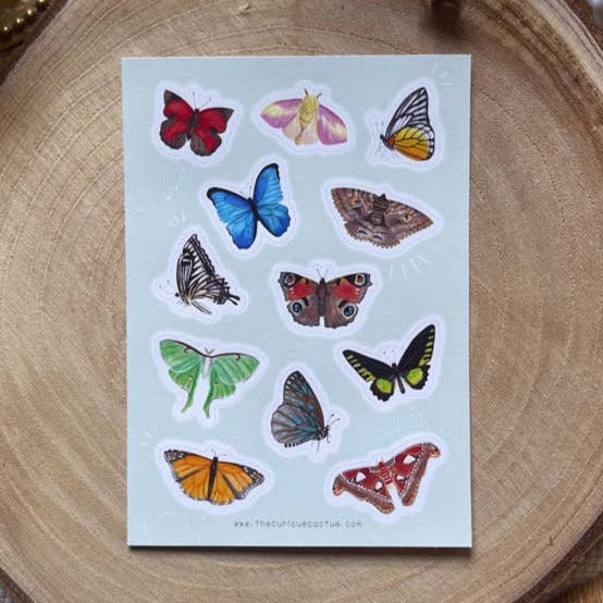 Folha de Autocolantes de Borboletas e Traças por atacado de The Curious Cactus
