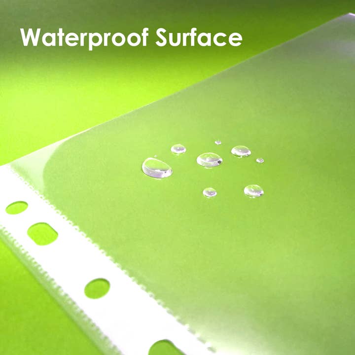 BAZIC Products - Wholesale Folders - Sheet Protectors Economy Weight Top Loading (100/Pack)