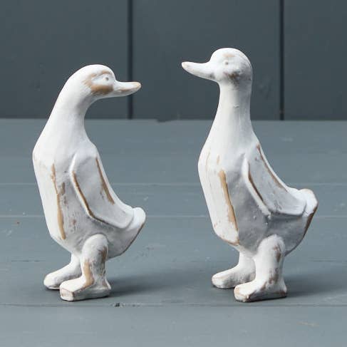 Gemischte weißgetünchte Holzenten für den Großhandel von Satchville