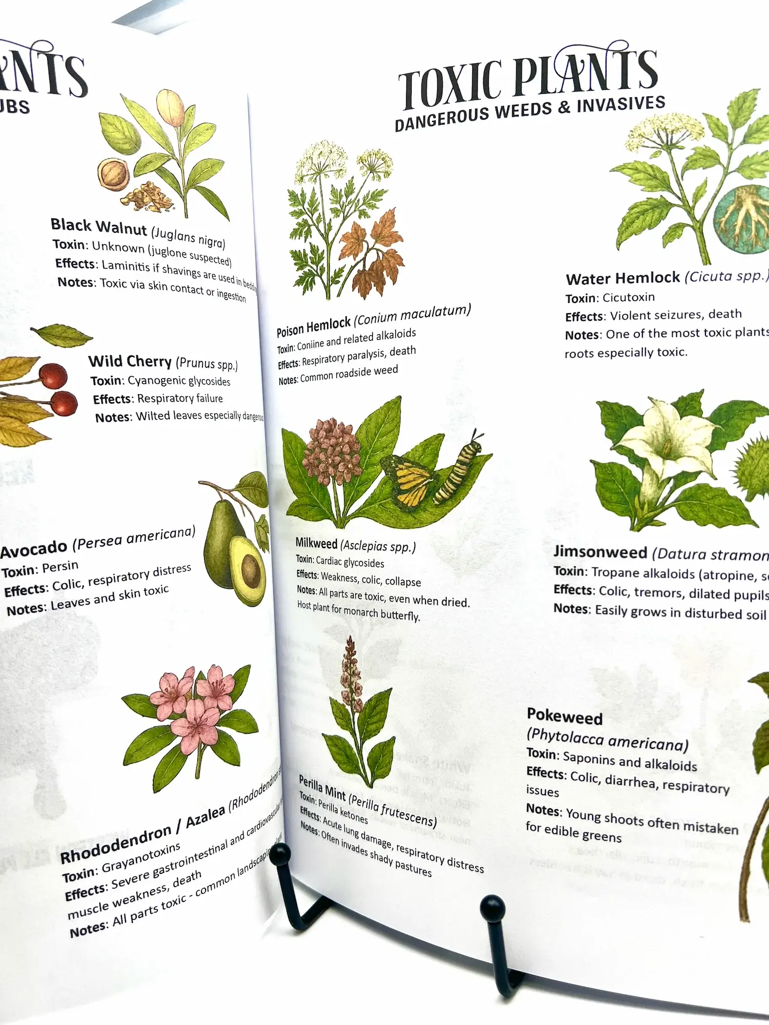 Circus Unicorn Shop - Wholesale Book - Kids - Horse Workbook Vol. II13