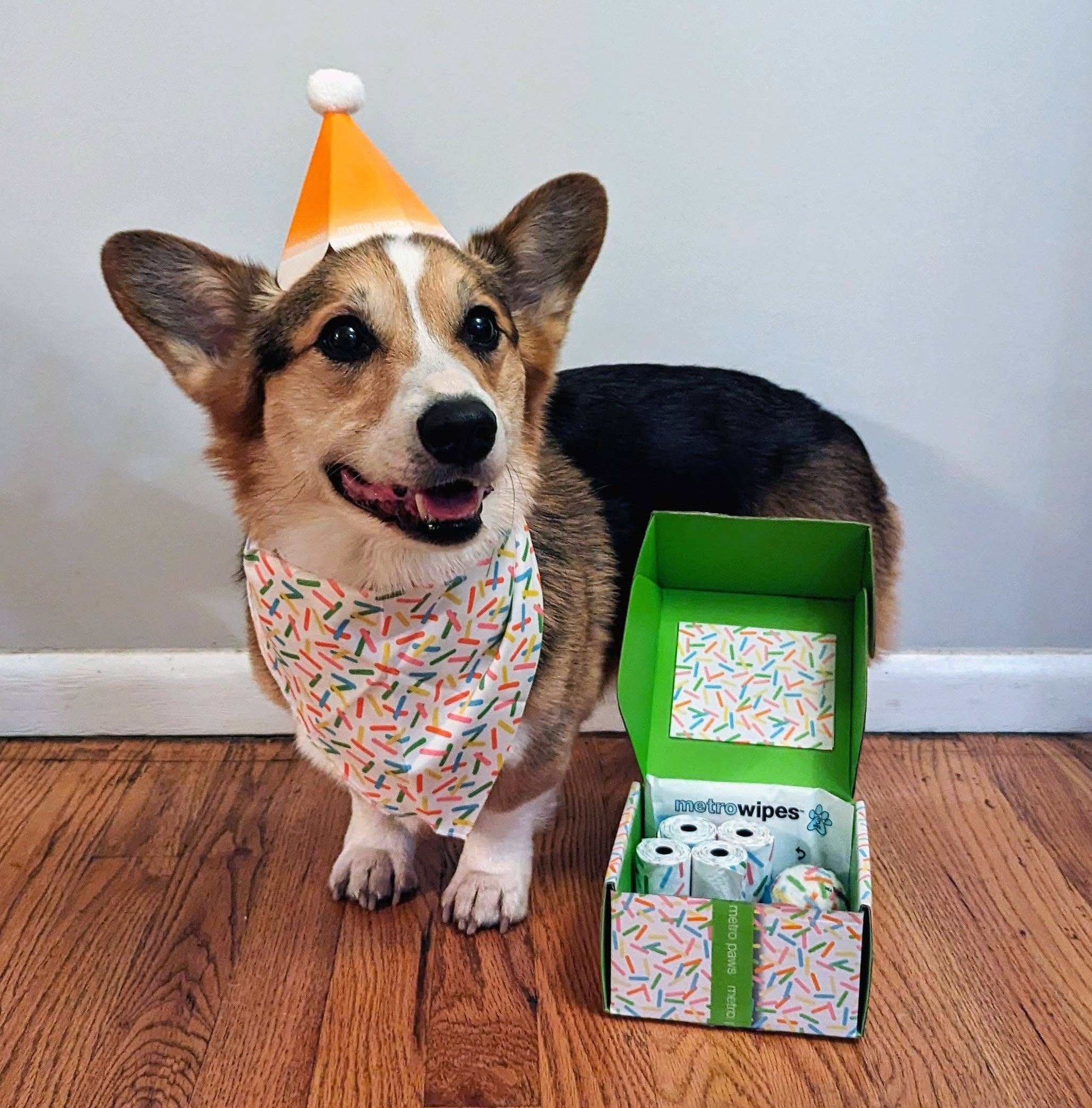 Metro Paws - Wholesale Pet Toy - Dog - Metro Paws Pawty Box® Wholesale9