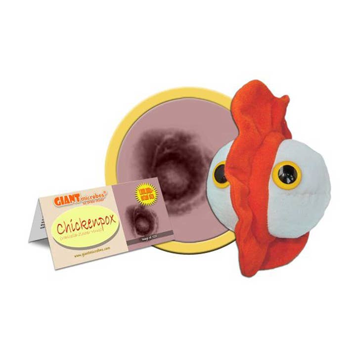 Heebie Jeebies - Wholesale Gag gift/novelty gift - Giant Microbe | Chicken Pox1