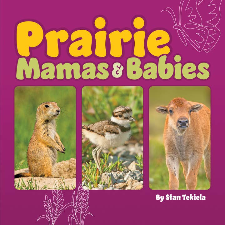 Prairie Mamas & Babies for wholesale by AdventureKEEN