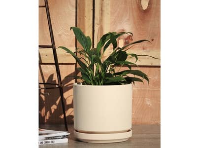 Pacific Home & Garden - Wholesale Planter Box - Mid Modern Ivory Clay Planter With Detached Saucer2