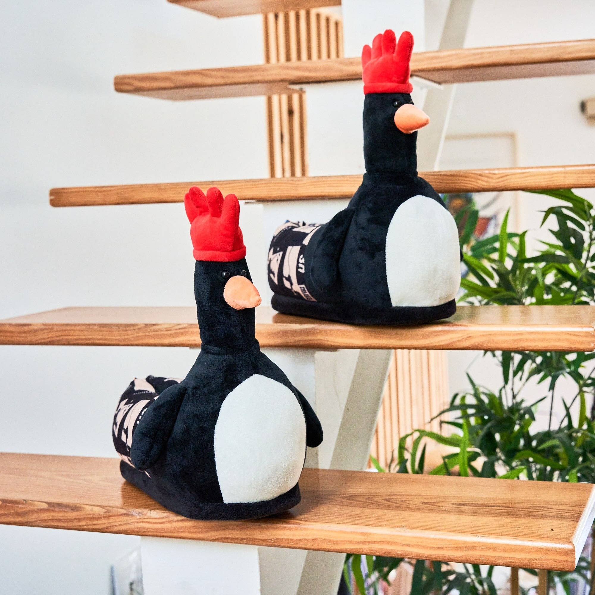 Coddies - Wholesale Slippers - Unisex - Coddies Feathers McGraw Wallace & Gromit Slippers4