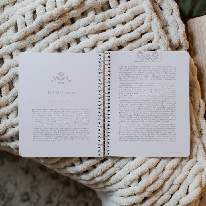 The Daily Grace Co - Wholesale Book - Adult - Jesus is Better: Living for the One Who is Worthy | A Study on the Book of Hebrews