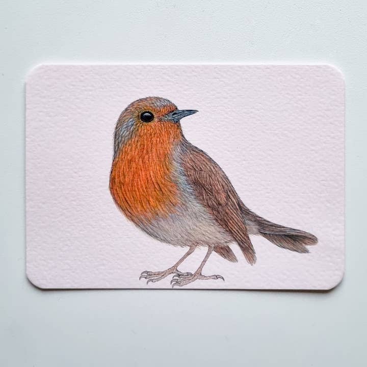 Postal ROBIN II para venta al por mayor de Studio Binck