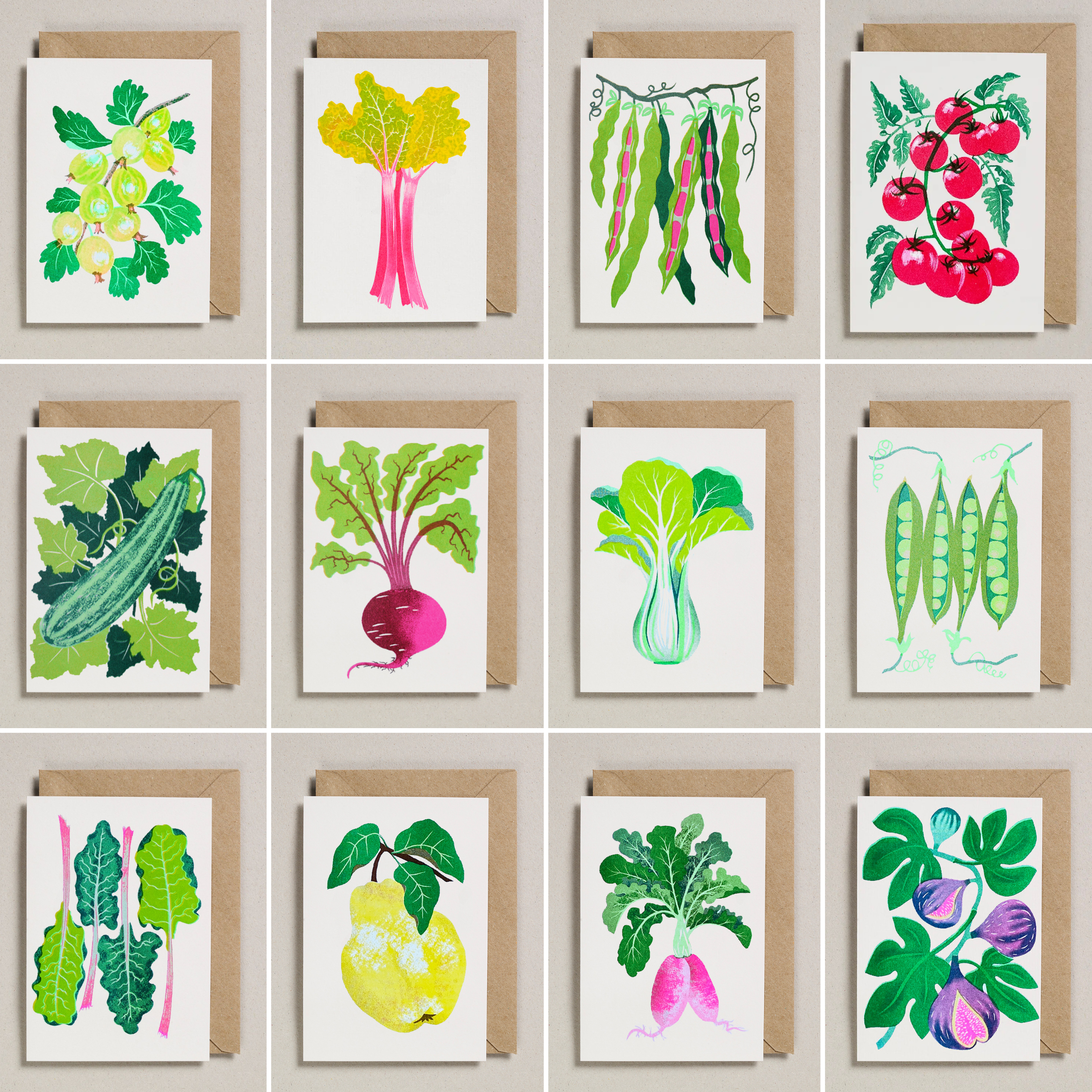 Petra Boase Ltd (US Duties Paid) - Wholesale Everyday Greeting Card - Grow Cards (Pack of 6) Beans4