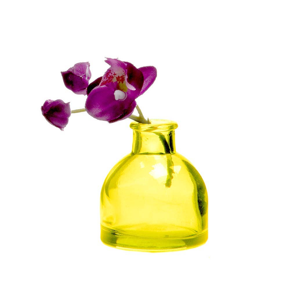 Chive UK - Wholesale Vase - Loft - Coloured Glass Apothecary Inspired Bud Vases9