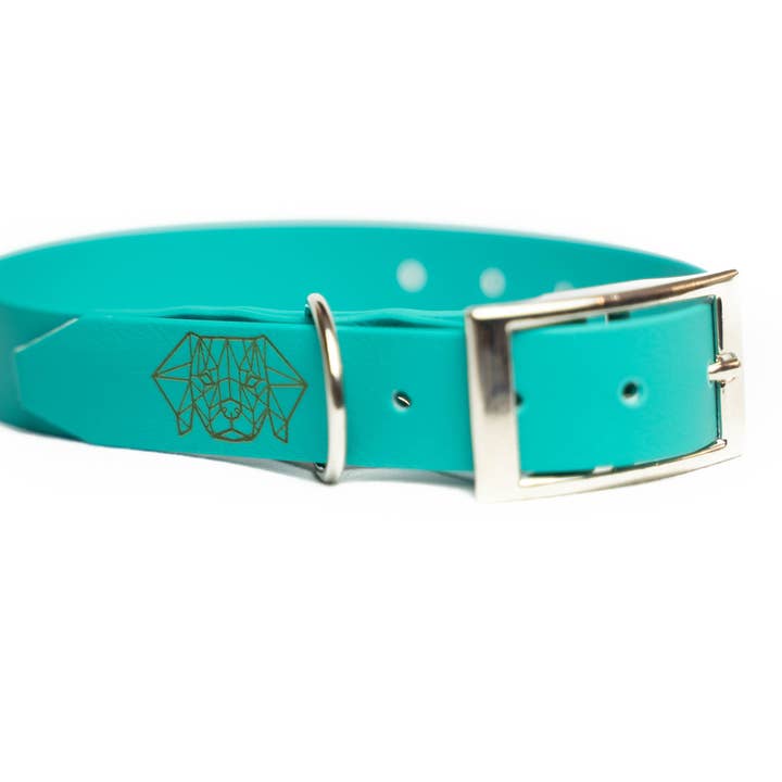 Collar turquesa con correa recubierta de TPU para venta al por mayor de Pets & Props