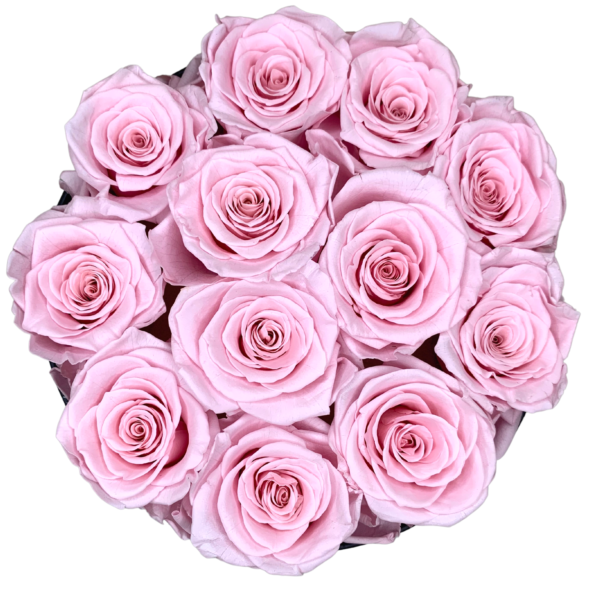 verona home and gift - Wholesale Dried/Pressed Flowers - 12 Real Preserved Roses that Last Forever In Round Box9