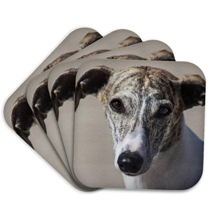 3dRose - Wholesale Coasters - 3dRose, Portrait of a Whippet, Coaster7