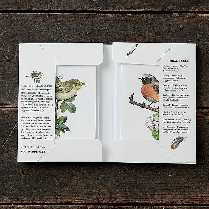 Koustrupco - Wholesale Postcard Set - Garden birds spring cardfolder- made in Europe1