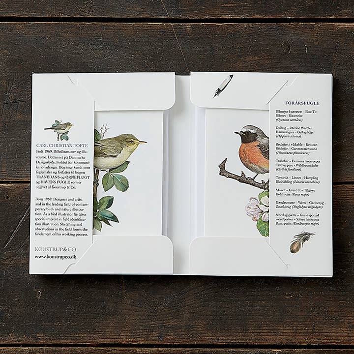 Koustrupco - Wholesale Postcard Set - Garden birds spring cardfolder- made in Europe1