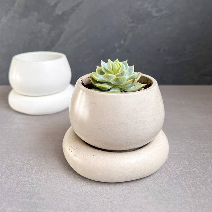 Minimal Loot Design – Engroshandel Plantekrukke – Lille betonplantekasse med dræning, sød plantepotte, bobleplanter, sukkulentplanter, dekorativ potte, moderne potte, nordisk, buttet potte