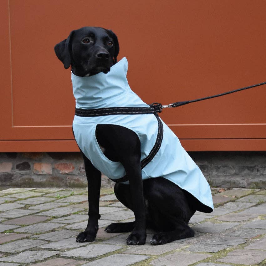 Croci - Wholesale Pet Raincoat - Dog - Tom neoprene waterproof dog coat with reflective details0