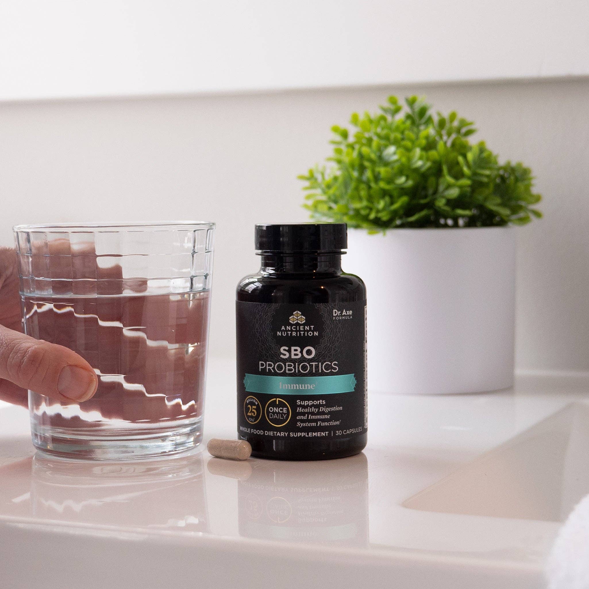 Dark Amber SBO Probiotics Immune Once Daily | (30 Capsules) for wholesale on Faire2