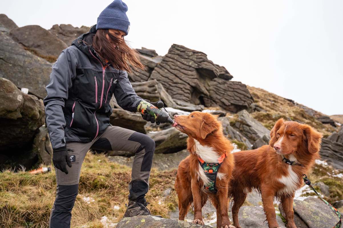 Long Paws - Wholesale Waterfles voor honden - Hond - Long Paws RVS hondenwaterfles met lick 'n flow1