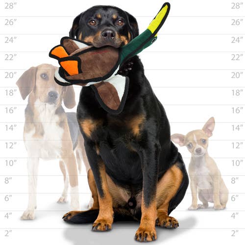 Tuffy Dog Toys - VIP Products - Venta al por mayor Juguete de goma - Perros - Juguete para perros Tuffy Barnyard Duck, duradero, resistente y chirriante6