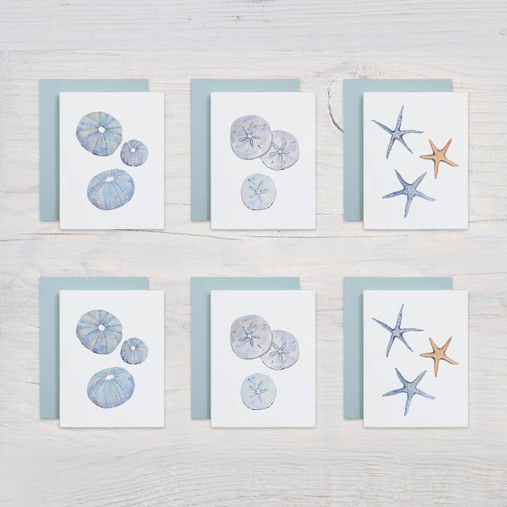 Waterline Studio - Wholesale Stationery/Notecard Set - Beachcomber Note Card Set (Sand Dollars, Sea Urchins, Starfish)