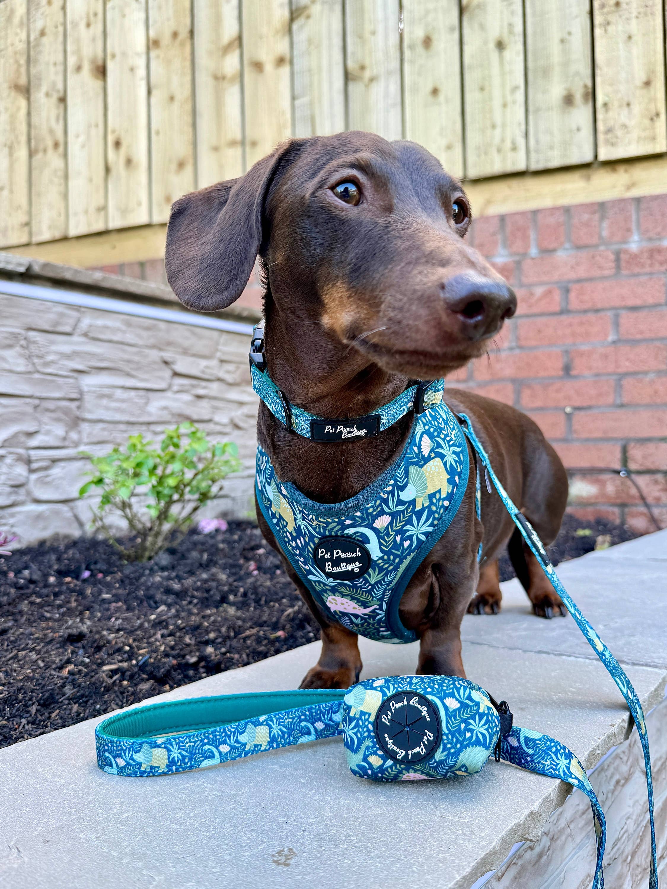 Pet Pooch Boutique – wholesale Pet collar – Dog – Dino Rawr Dinosaur Dog Collar With Optional Bow Tie3