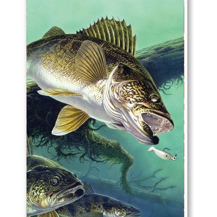 Anglers Dream Score Pads Playing Cards Accessory for wholesale by Springbok Puzzle