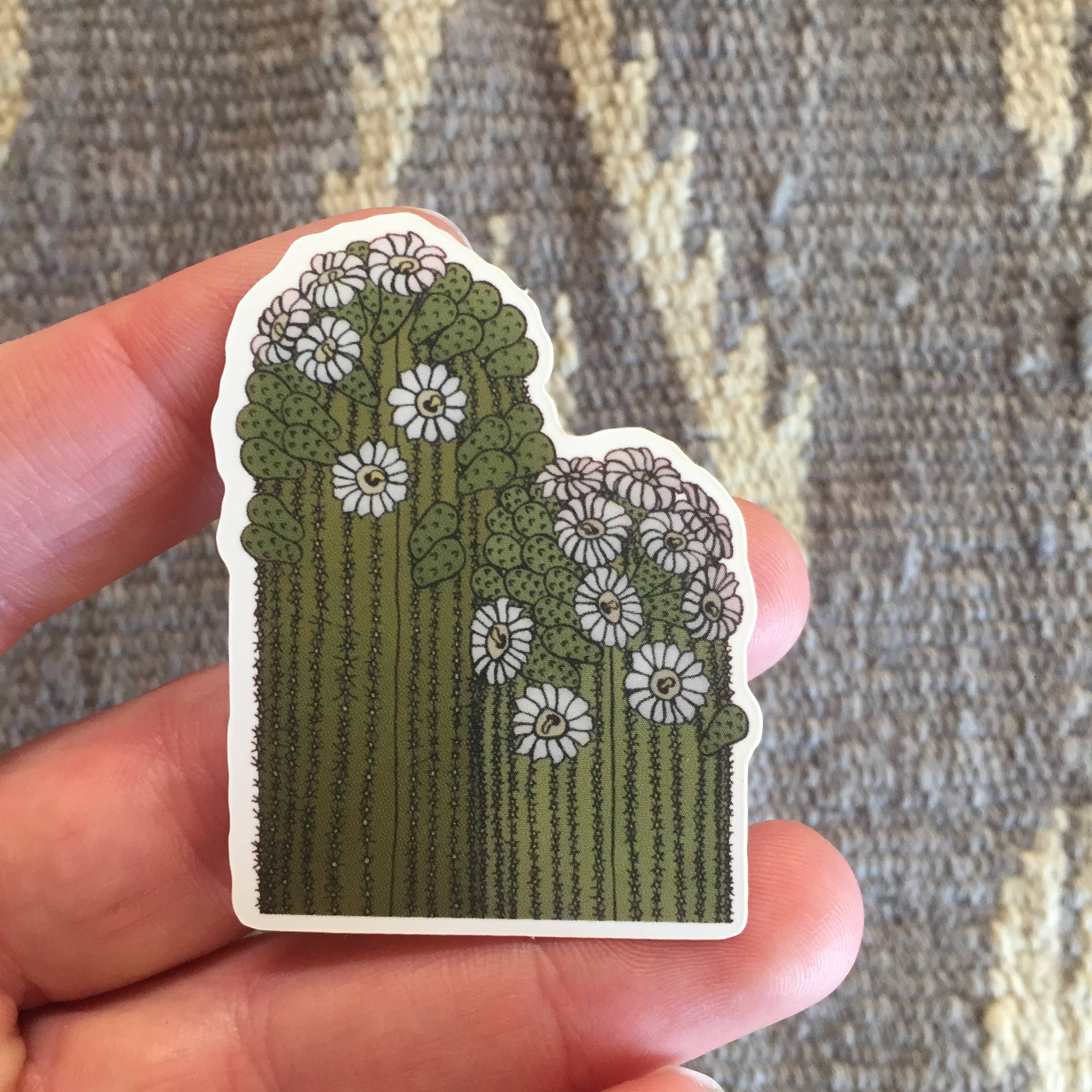 Sonoran Witch Boy - Wholesale Sticker - Double Saguaro Sticker