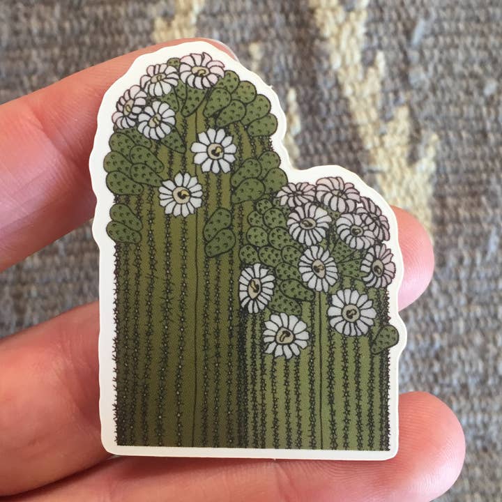 Adesivo duplo Saguaro por atacado de Sonoran Witch Boy