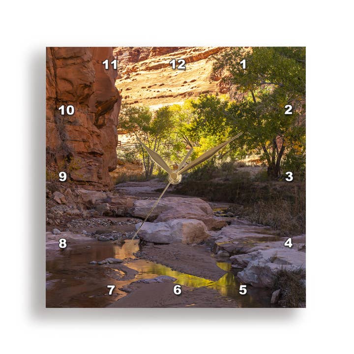 3dRose, Djupt lysande orange hibiskusblomma, Honolulu. Hawaiis delstatsblomma., Väggklocka för wholesale av 3dRose