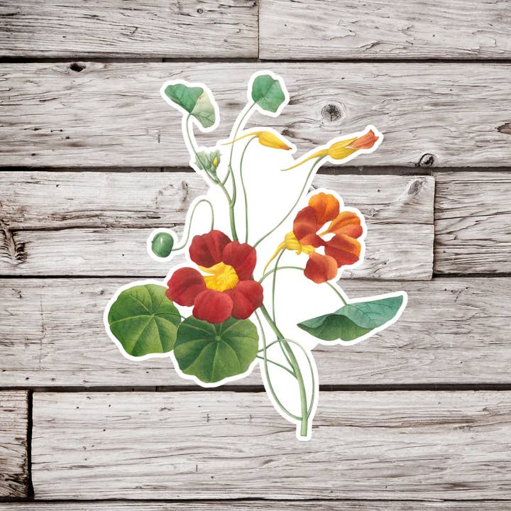 NatureCuts - Wholesale Sticker - Nasturtium Sticker, Cress Sticker, Wildflower Sticker