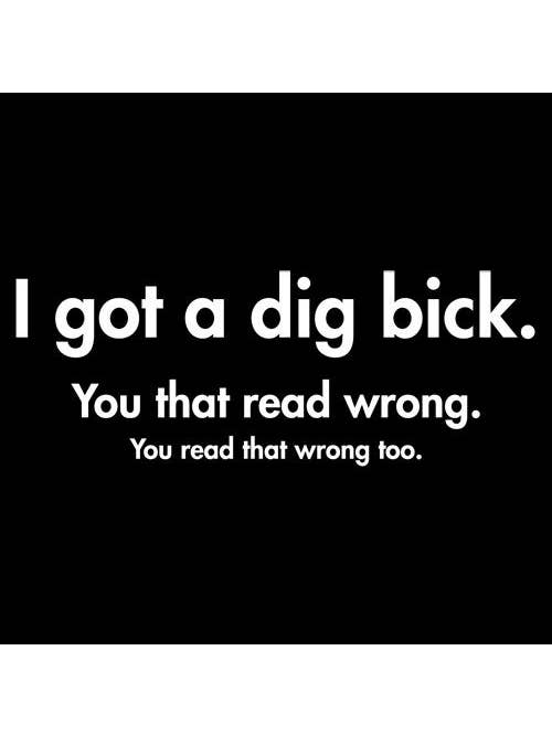 Feelin Good Tees - Wholesale Screen Printed T-Shirt - Unisex - I Got A Dig Bick You That Read Wrong You Read That Wrong Too20