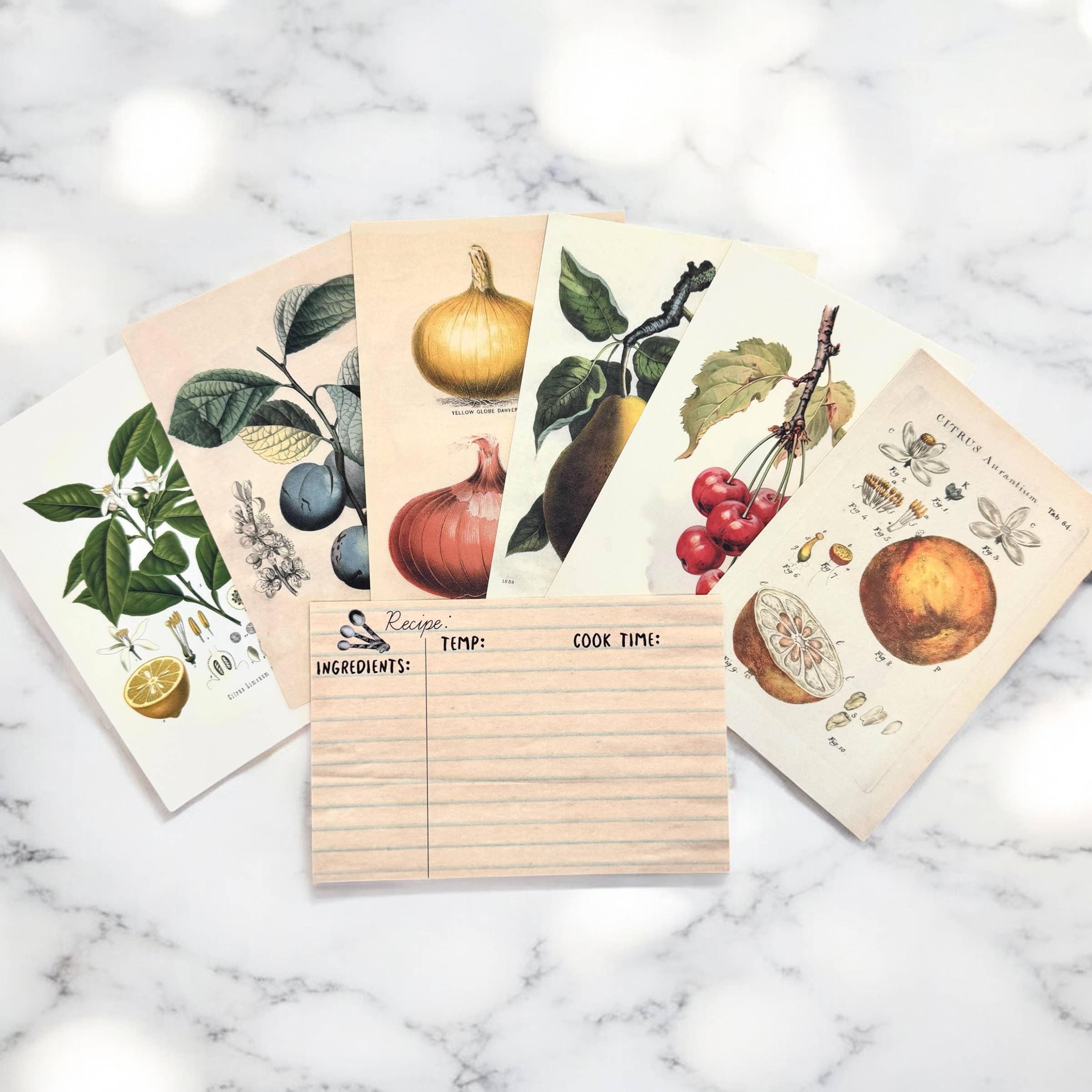Firefly Notes – wholesale Recipe card – Botanical Recipe Card Set ,12 Cards + Banana Bread Recipe7
