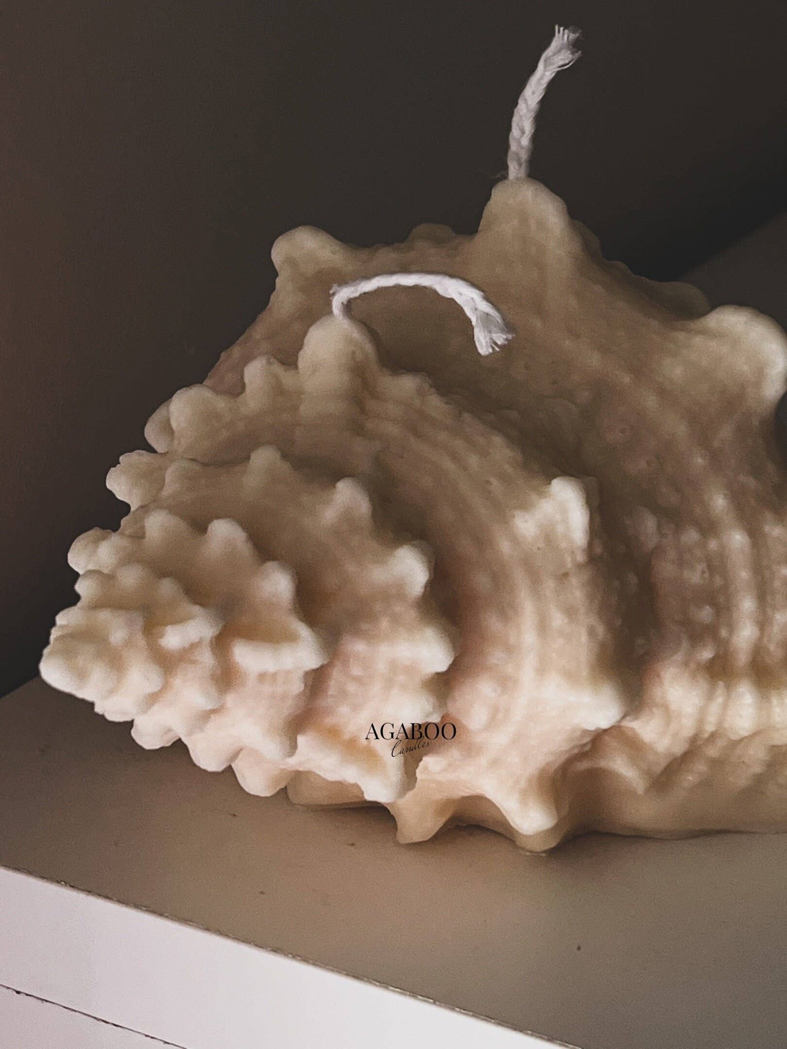Agaboo Candle – Großhandel Geschenkkerze – Riesige natürliche Muschelkerze 4x7x5in1