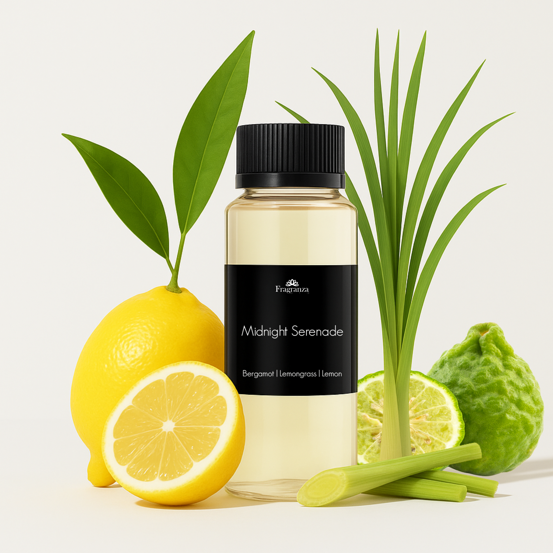 FRAGRANZA613 Inc - Wholesale Fragrance Oil - Midnight Serenade1