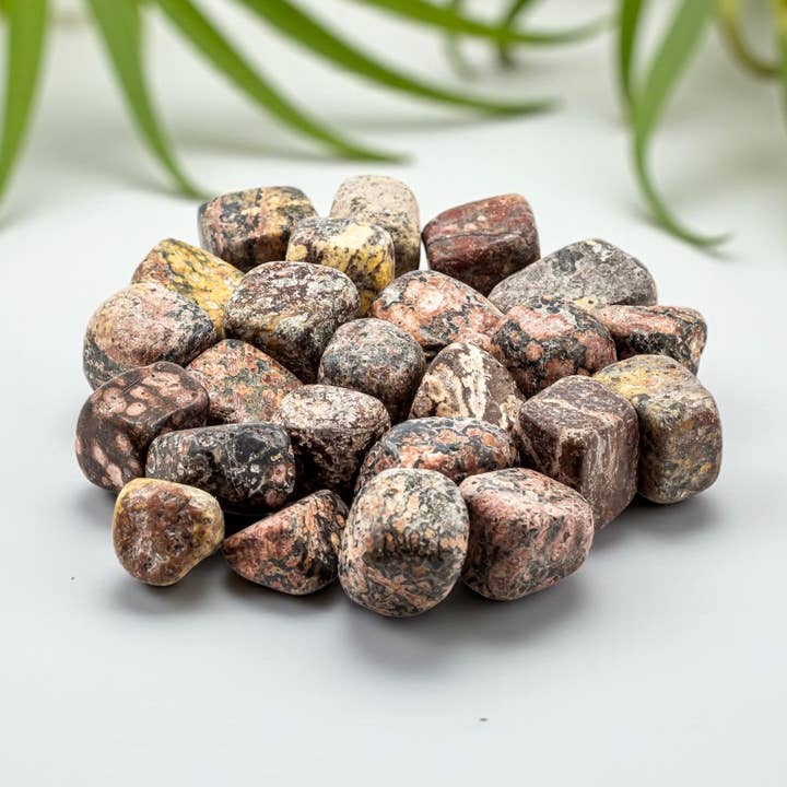 Leopard Skin Jasper Tumbled 20-30mm 1KG/2lbs for wholesale by Quasar Gems USA