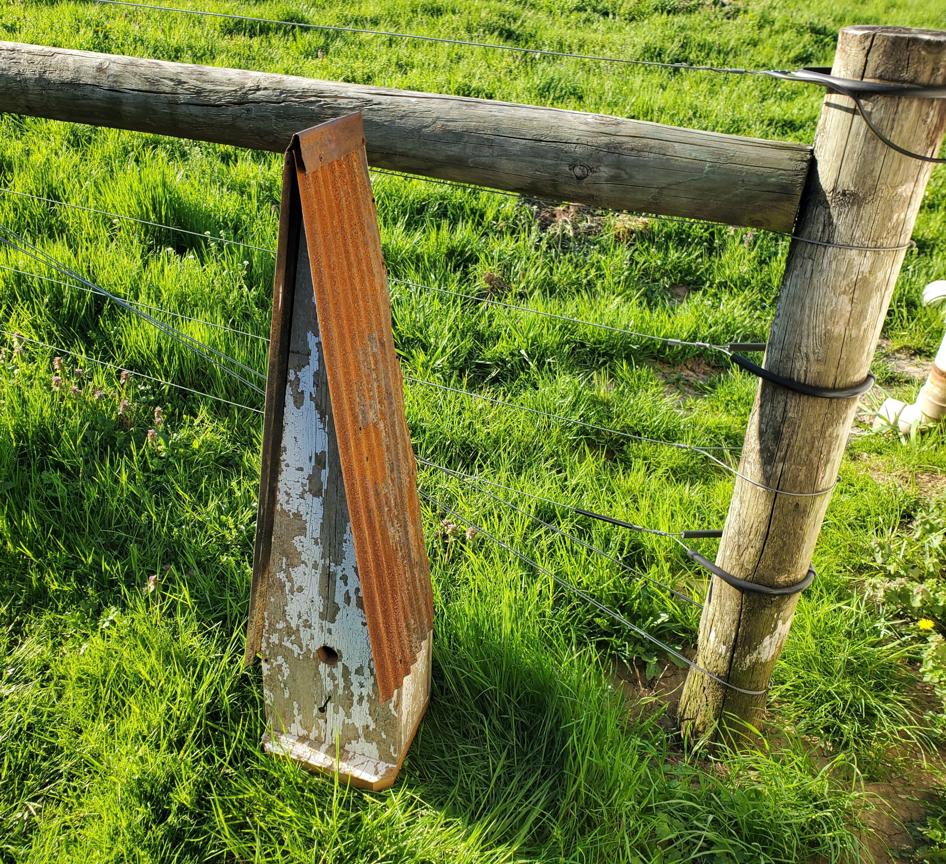 Flying Heart Threads - Vente Nichoir - Cabanon rustique en bois de grange recyclé et toit en métal, 2 tailles9
