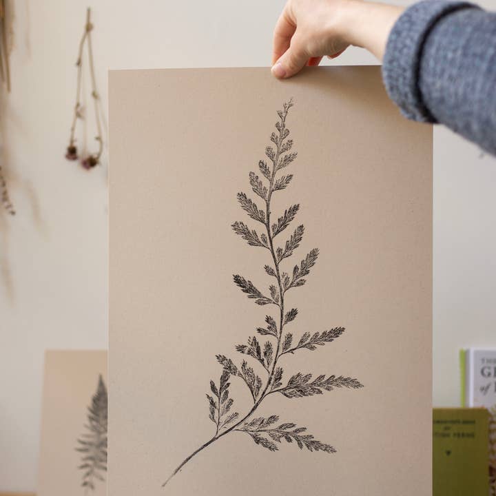 Alicia Breakspear - Wholesale Art Print - Fern Print- Botanical Art Print A5 A4 A33