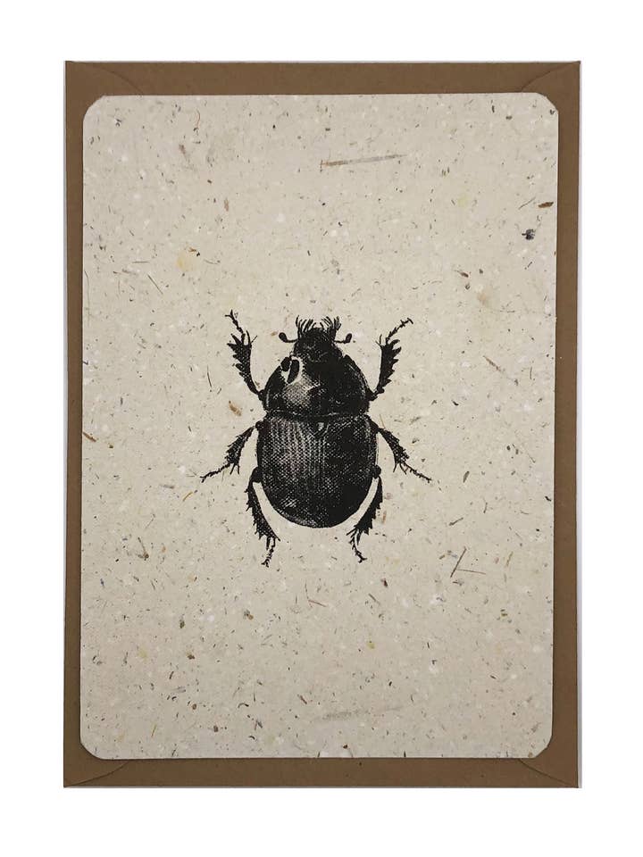 Escarabajo pelotero para venta al por mayor de Studio Mabelle