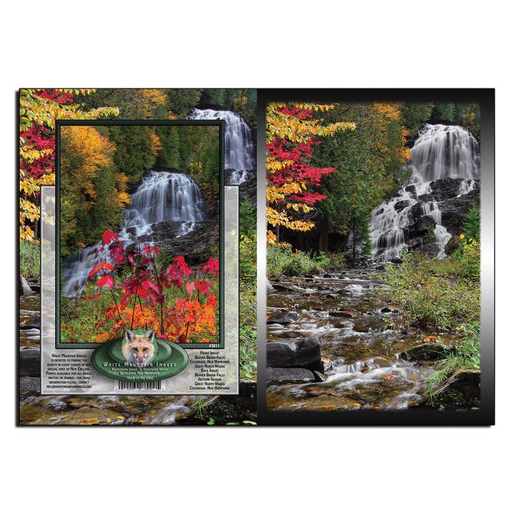 #3011 Beaver Brook herfst Notecard voor wholesale door White Mountain Images