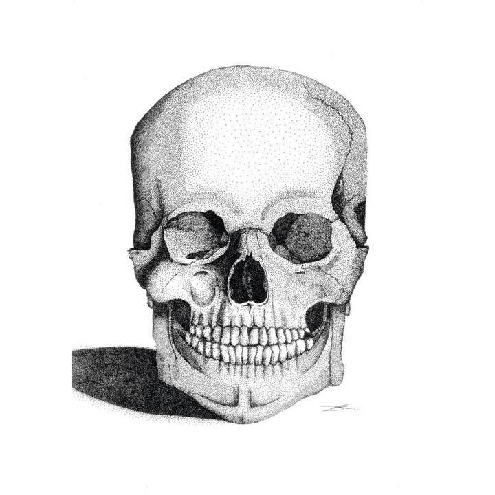 Dots by Donna - Wholesale Art print - Skull