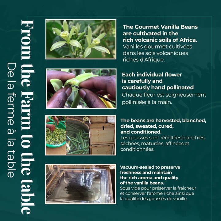 AayuLuxe - Wholesale Vanilla/fruit extract - 10 Vanilla beans Grade A | 5" to 8" | Gourmet Vanilla Bean9