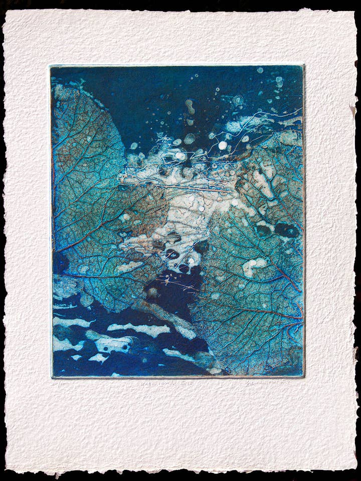 Vandland III for engroshandel hos Brenda Hartill